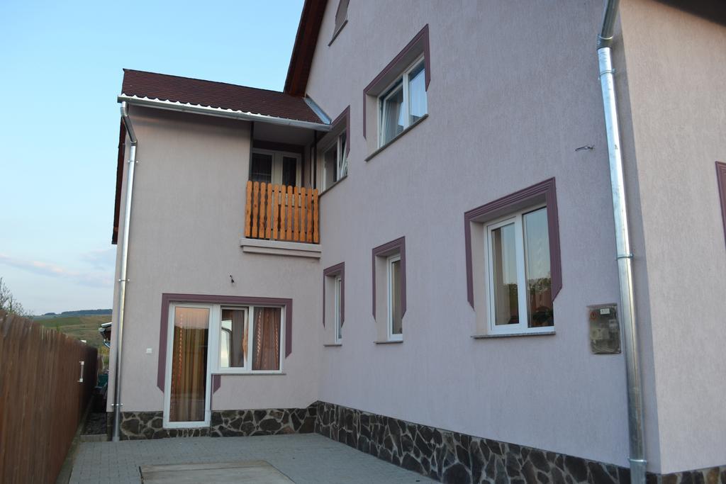 Ersa Panzio Hotel Bisericani  Екстериор снимка