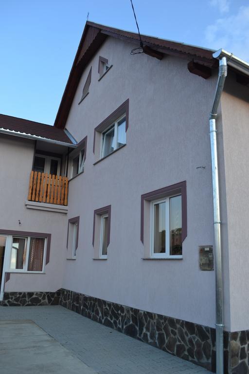 Ersa Panzio Hotel Bisericani  Екстериор снимка