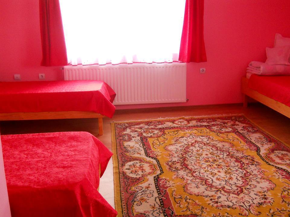 Ersa Panzio Hotel Bisericani  Стая снимка