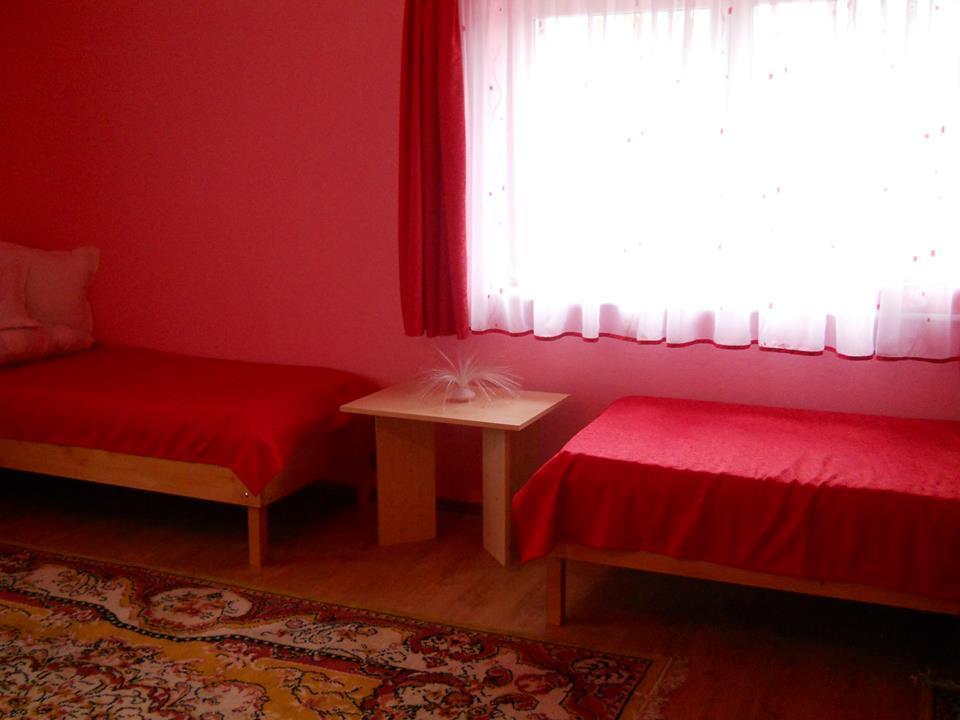 Ersa Panzio Hotel Bisericani  Екстериор снимка