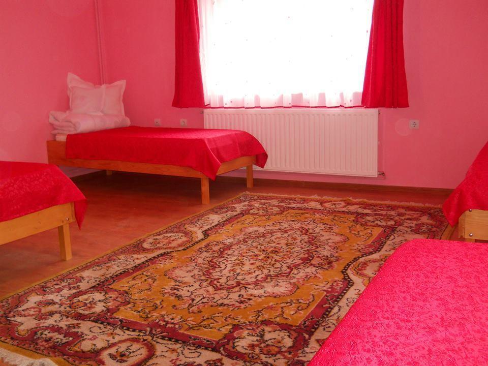 Ersa Panzio Hotel Bisericani  Екстериор снимка